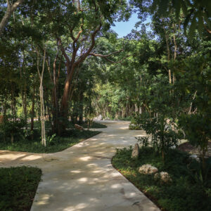 dsc03064 (1)